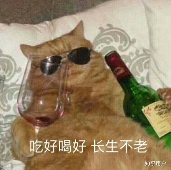 393660093