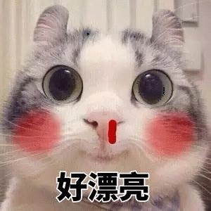 谢老板